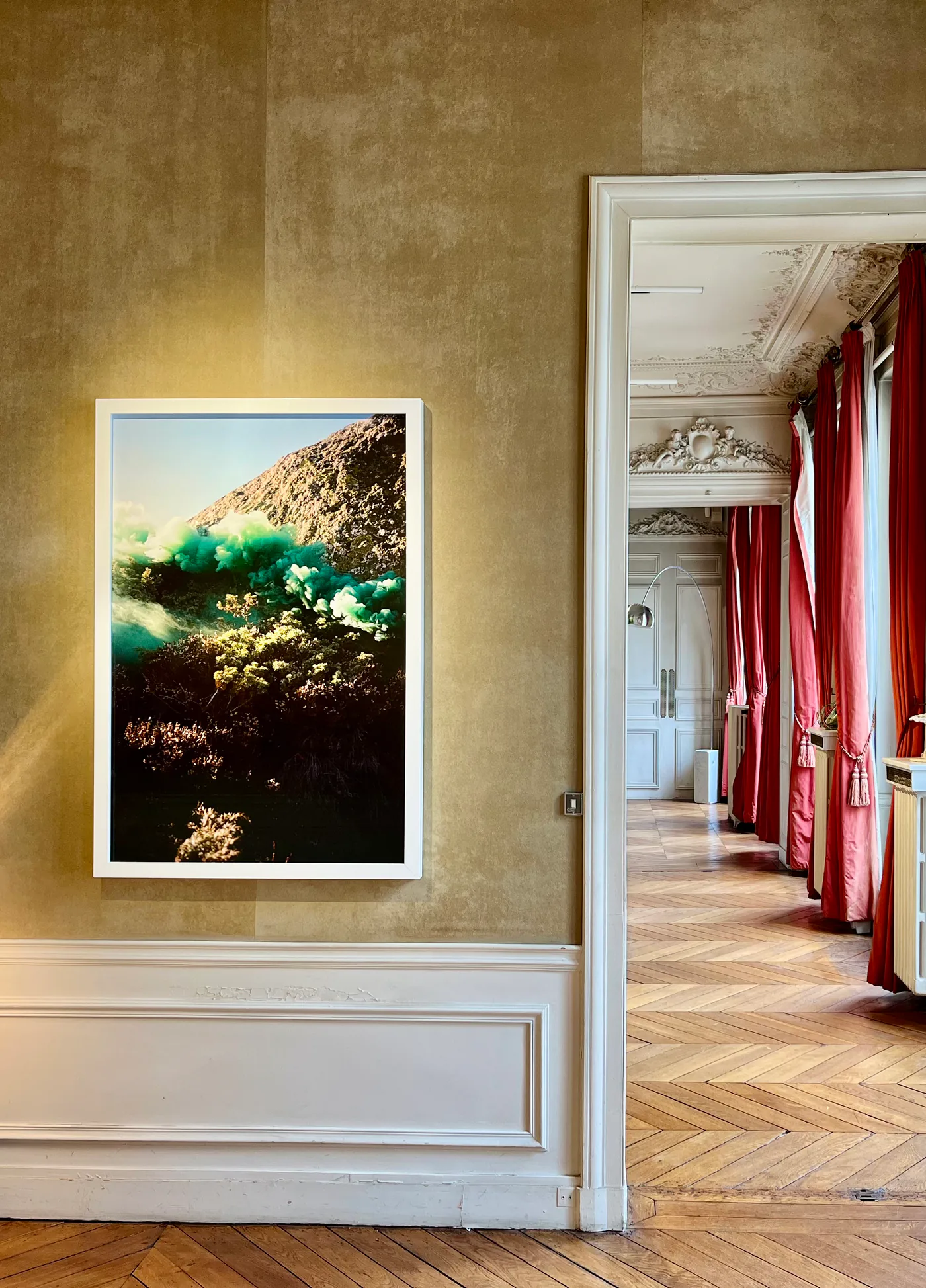 From Nature, Whitewall Projects, Paris